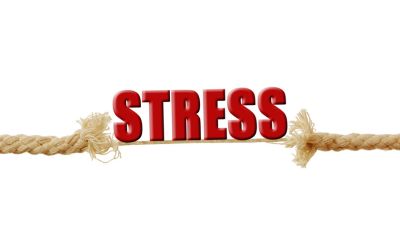 chronischer-stress