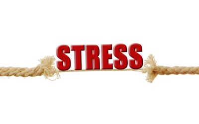 chronischer stress chronischer-stress